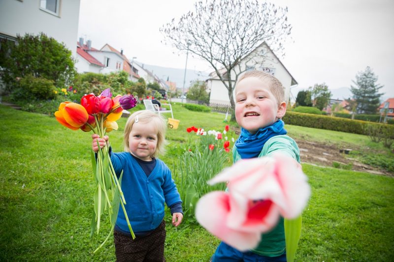 Blumen und Gemüse